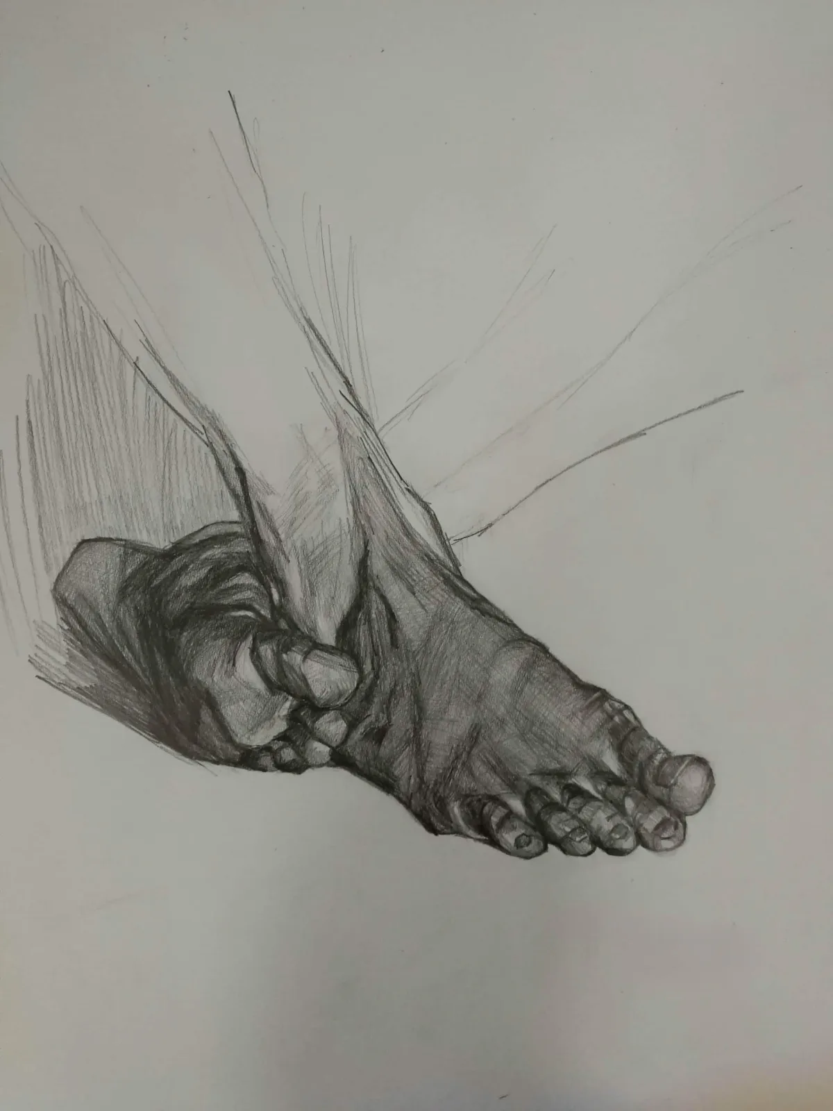 Pencil study of a foot