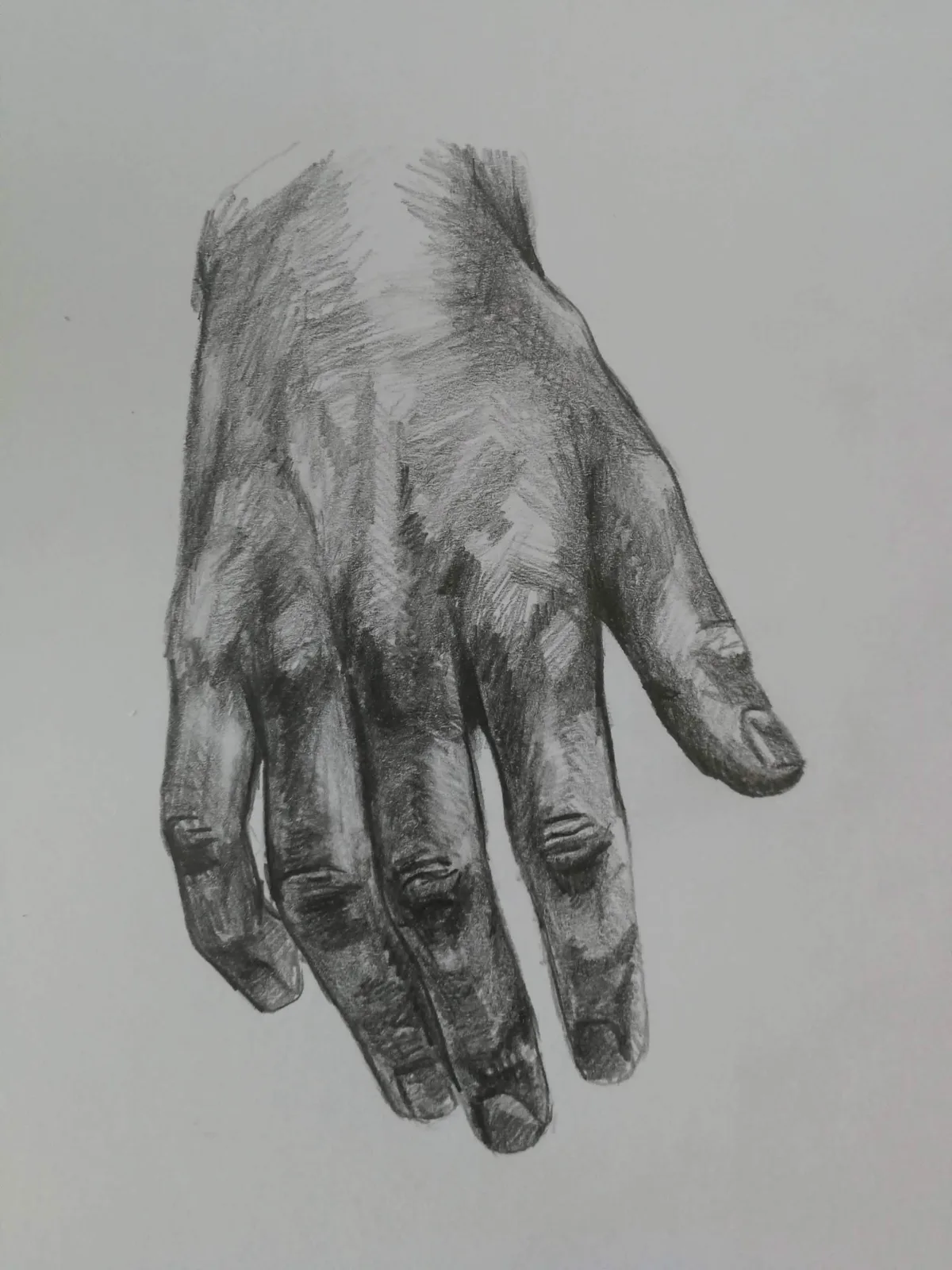 Pencil study of a hand